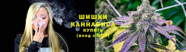 прущие грибы Абдулино