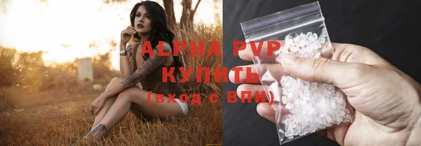 прущие крисы Абаза