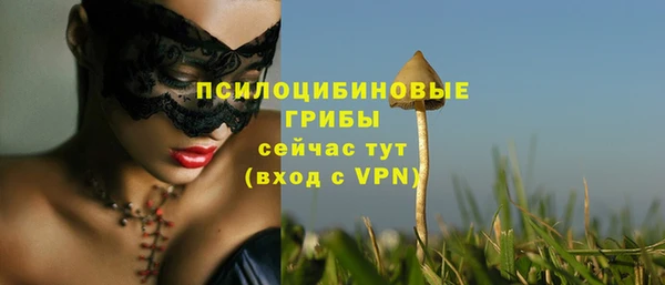 прущие крисы Абаза
