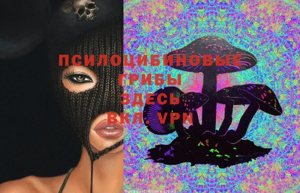 прущие крисы Абаза