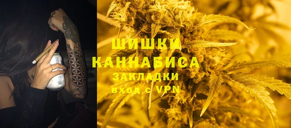 прущие грибы Абдулино